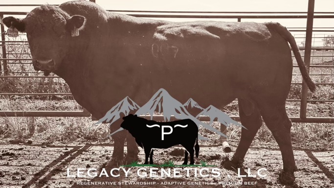 Montelius 007 copy-compressed.jpg